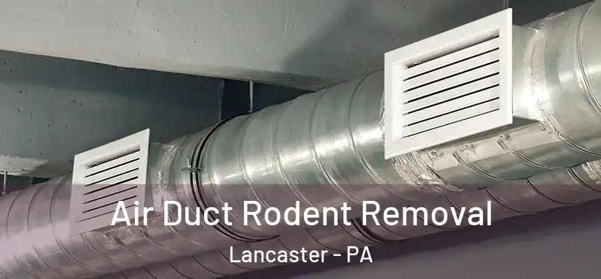  Air Duct Rodent Removal Lancaster - PA