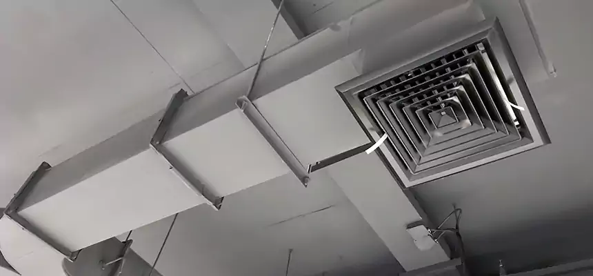 Restorative Allergy Relief Vent Cleaning – Coil, Blower & Housing Detail in Lancaster