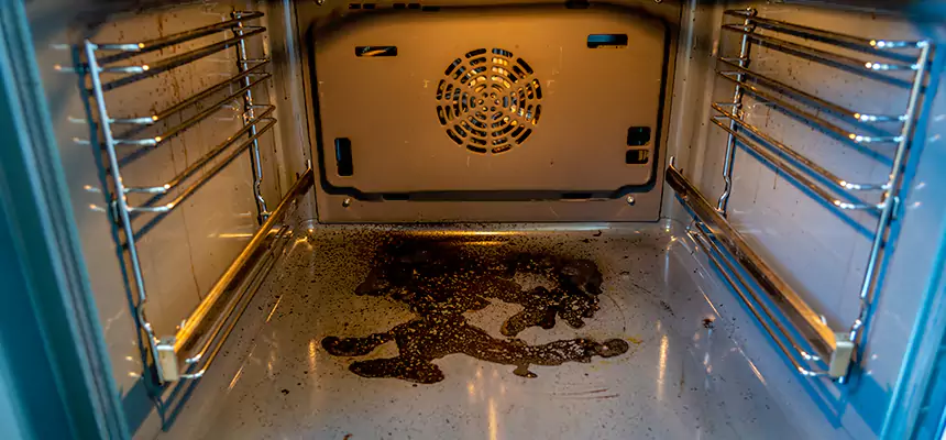 Our Dryer Vent Mold Cleaning Services in Lancaster, PA