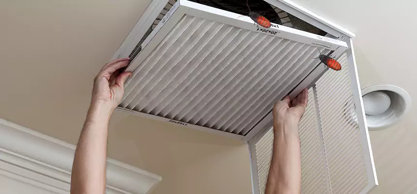 Our Insect Removal from Air Ducts Services in Lancaster, PA