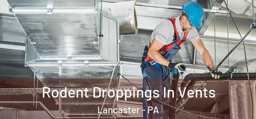  Rodent Droppings In Vents Lancaster - PA