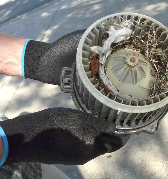 About Air Duct Rat Removal in Lancaster, PA