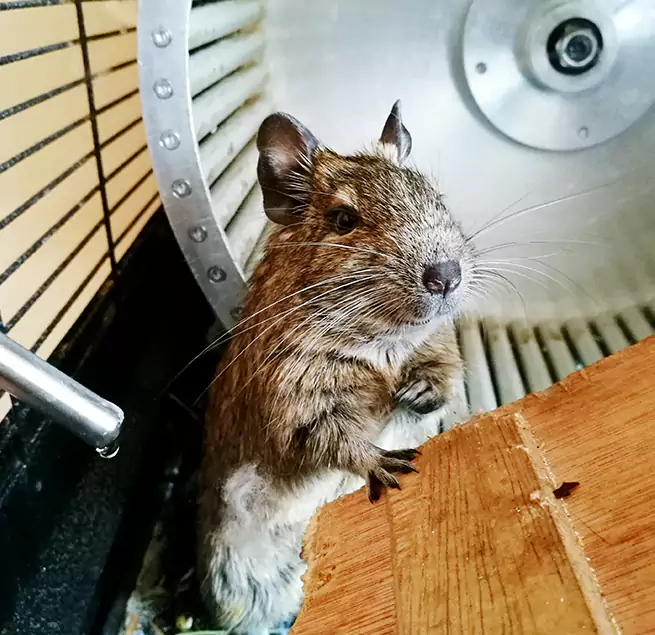 Why Homeowners & Businesses Trust Us Lancaster, PA?